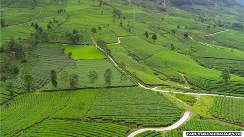 Công tác đảm bảo vệ sinh môi trường tại Phúc Khoa