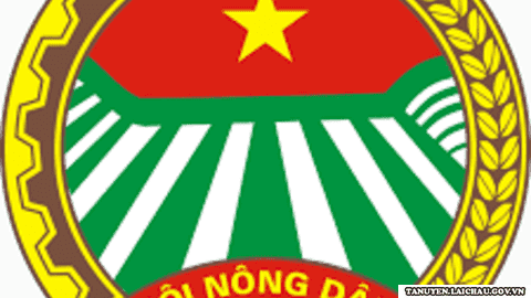 HỘI NÔNG DÂN HUYỆN