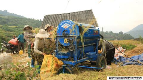 Thực hiện chính sách thúc đẩy sản xuất nông nghiệp