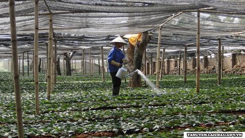 Tân Uyên tiếp tục duy trì và giữ vững huyện thoát nghèo