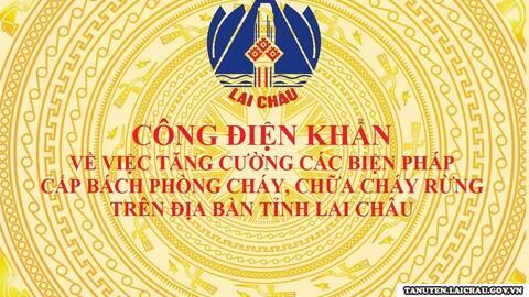 Công điện khẩn về việc tăng cường các biện pháp cấp bách phòng cháy, chữa cháy rừng trên địa bàn tỉnh Lai Châu