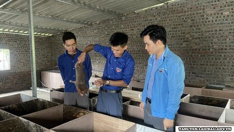 Hoàng Văn Văn khởi nghiệp từ mô hình cây ăn quả và chăn nuôi dúi