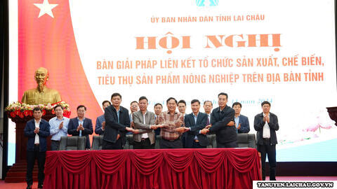 <a href="/tin-tuc-su-kien/tin-trong-tinh" title="Tin trong tỉnh" rel="dofollow">Tin trong tỉnh</a>