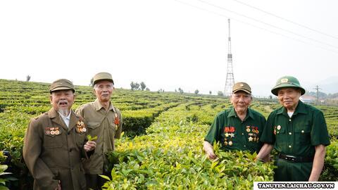 Hương chè Tân Uyên