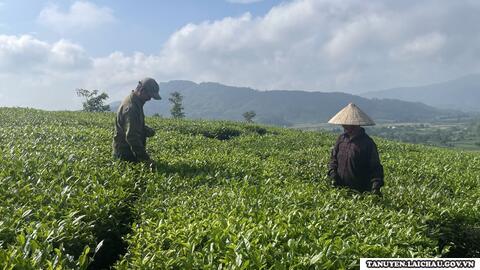 Ông Đoàn Văn Tiến làm kinh tế giỏi