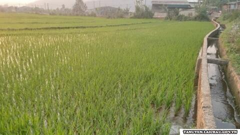 Đảm bảo nguồn nước phục vụ sản xuất