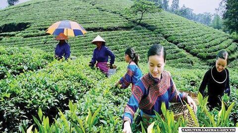 Đầu tư phát triển vùng Trung Du và miền núi phía Bắc: Thể chế đi trước...