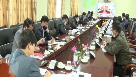 UBND tỉnh tổ chức Hội nghị giao ban trực tuyến với các huyện, thành phố
