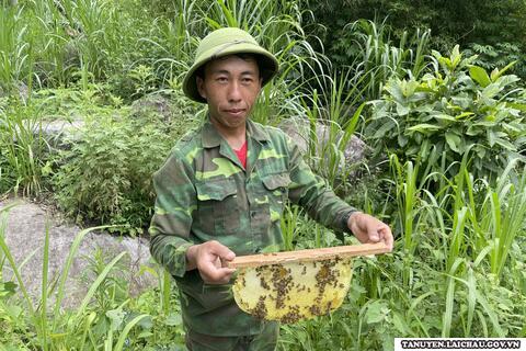 Làm giàu từ nuôi Ong lấy mật