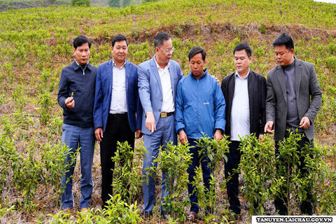 Tân Uyên: Dấu ấn 10 năm học và làm theo Bác
